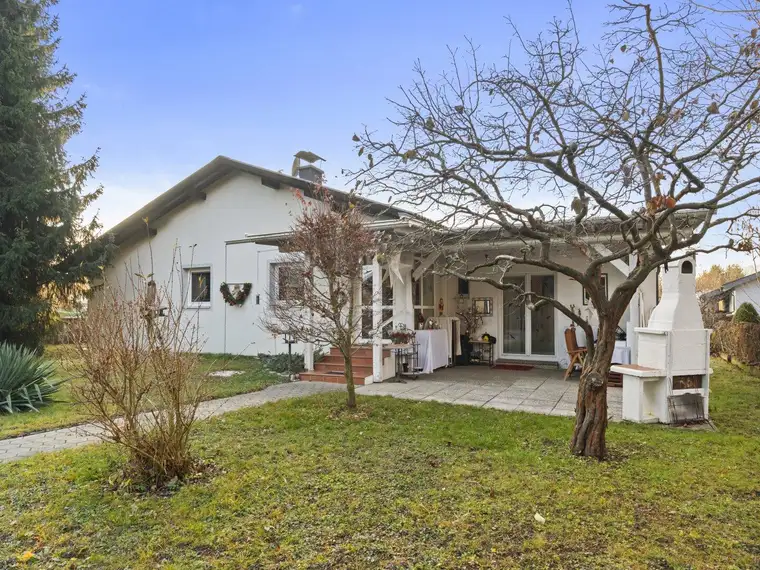 Felizitas Kelz, Patronum Real Estate GmbH