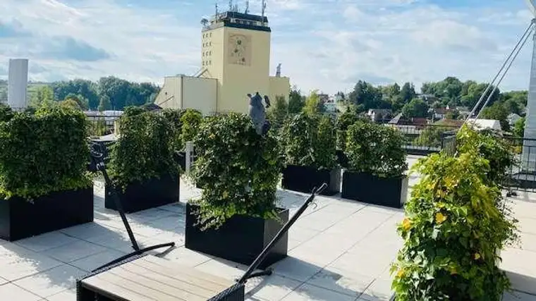 Wunderschöne 3-Zimmerwohnung mit Dachterrasse, Grieskirchen, Zentrum