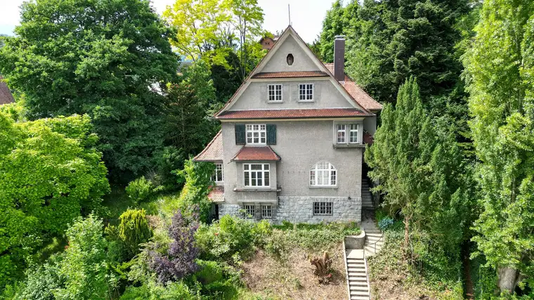 Historische Rarität mit Weitblick - Jugendstil-Villa am Ardetzenberg