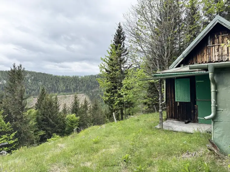 Einzigartiges Waldgrundstück mit Berghütte und Panormablick - Puchberg am Schneeberg 