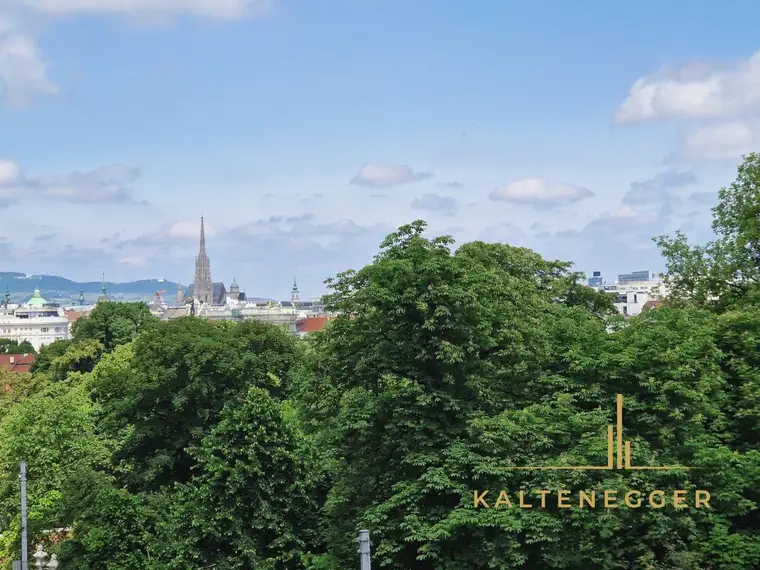 Frisch sanierte, wunderschöne Stadtwohnung mit Blick auf den Stephansdom + Schloss Belvedere!