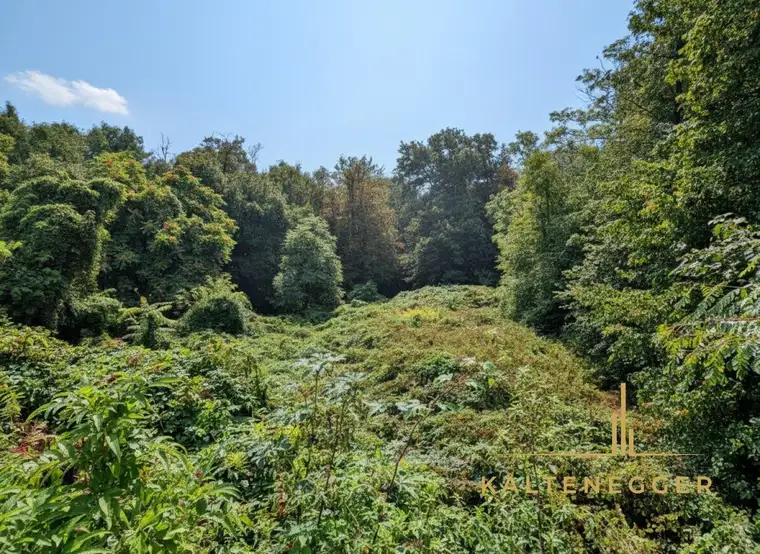 Atemberaubendes Grundstück mit einzigartiger Naturverbundenheit