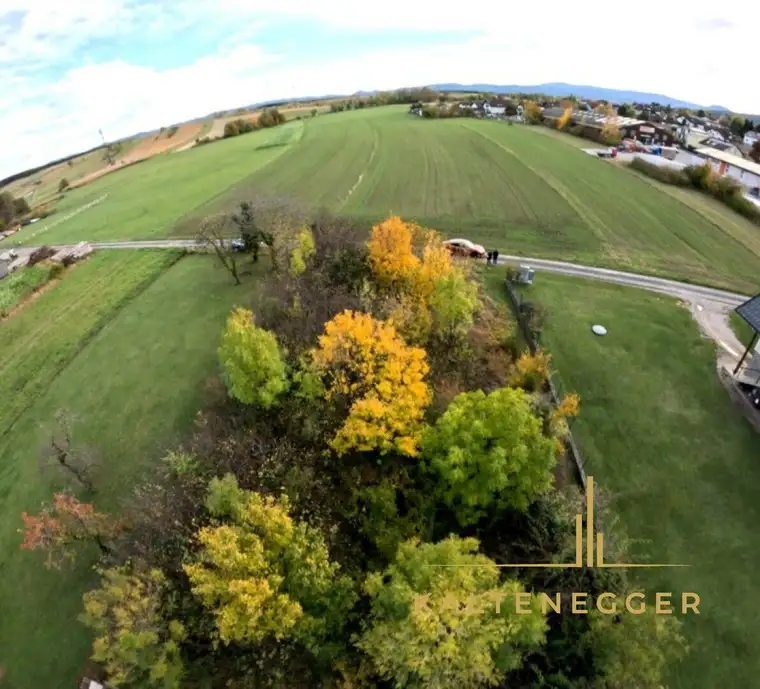 Ebenes Grundstück mit Altbaumbestand