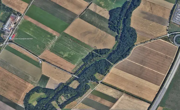 Grundstück für land- und forstwirtschaftliche Zwecke | 1.100 m² | Schwechat-Au