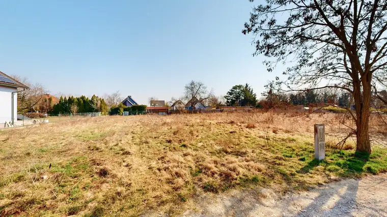 Ebenes Baugrundstück mit optimaler Ausrichtung | 731 m² | kein Bauzwang