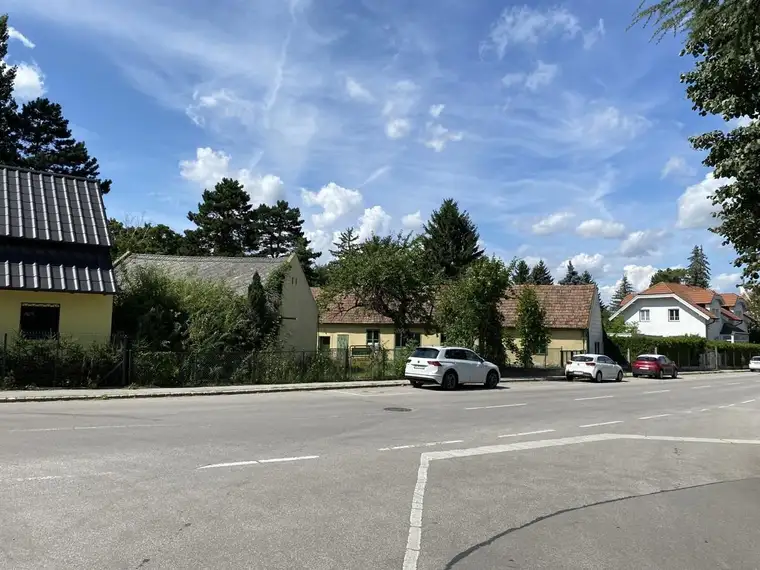 Großzügiges Grundstück mit Altbestand zum Sanieren oder Abbruch/Neubau - Zentrum St. Andrä Wördern