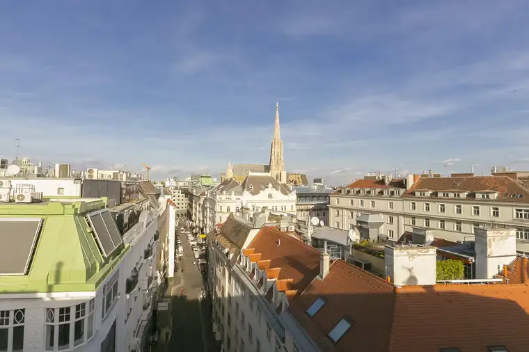 Plankengasse - loftartiges Penthouse auf 3 Etagen und Blick zum Stephansdom