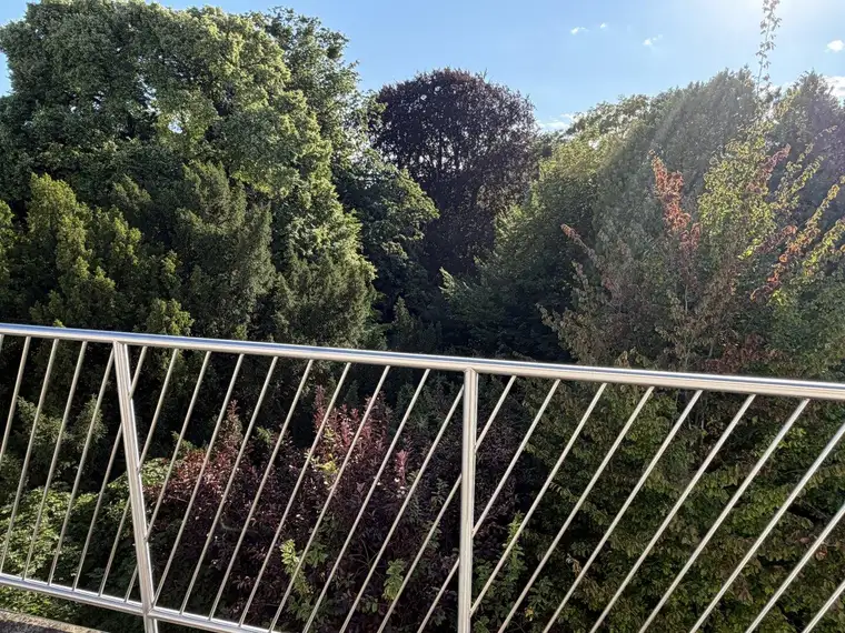 Geweygasse - 3 Zimmer DG mit 2 Balkonen und parkähnlichem Gemeinschaftsgarten