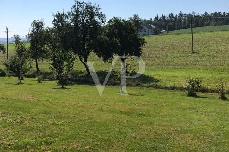 Großes, sonniges und unverbaubares Grundstück in Engerwitzdorf