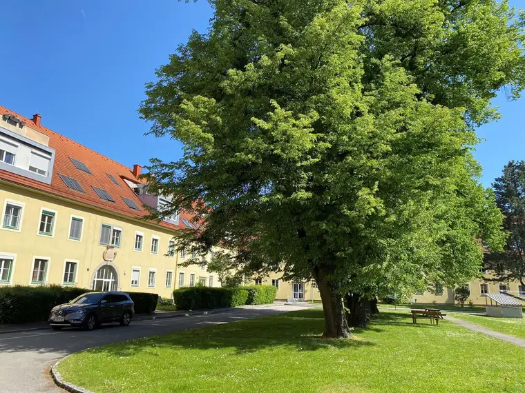 Großzügige 4 Zimmerwohnung direkt neben der JKU!WG geeignet!