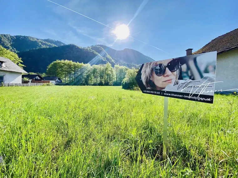 Ebenerdiges und sonniges Gründstück in Scharnstein.
