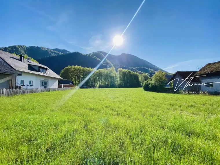 Neuer Preis!! Ebenerdiges und sonniges Grundstück in Scharnstein.