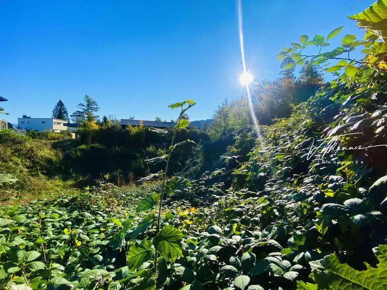 Wunderschönes Grundstück in Gmunden.