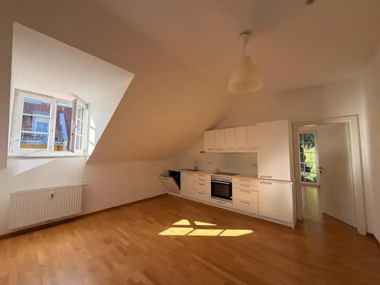 Emma Kiss, Qubus Immobilien GmbH