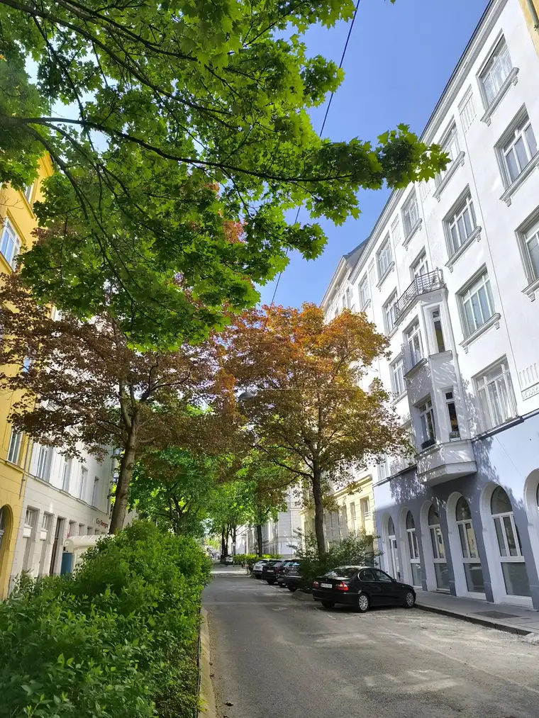 Traumhafte 3 DG Wohnung mit Wienblick im DRITTEN, provisionsfrei