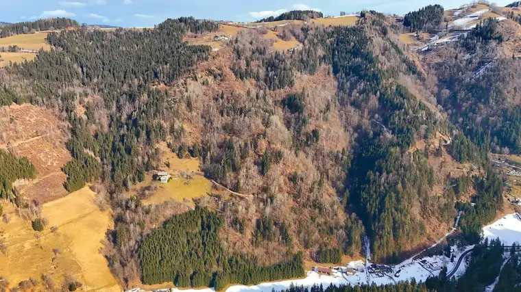 Traumhaftes Land- und Forstparadies in Kärnten Perfekt für Naturliebhaber!