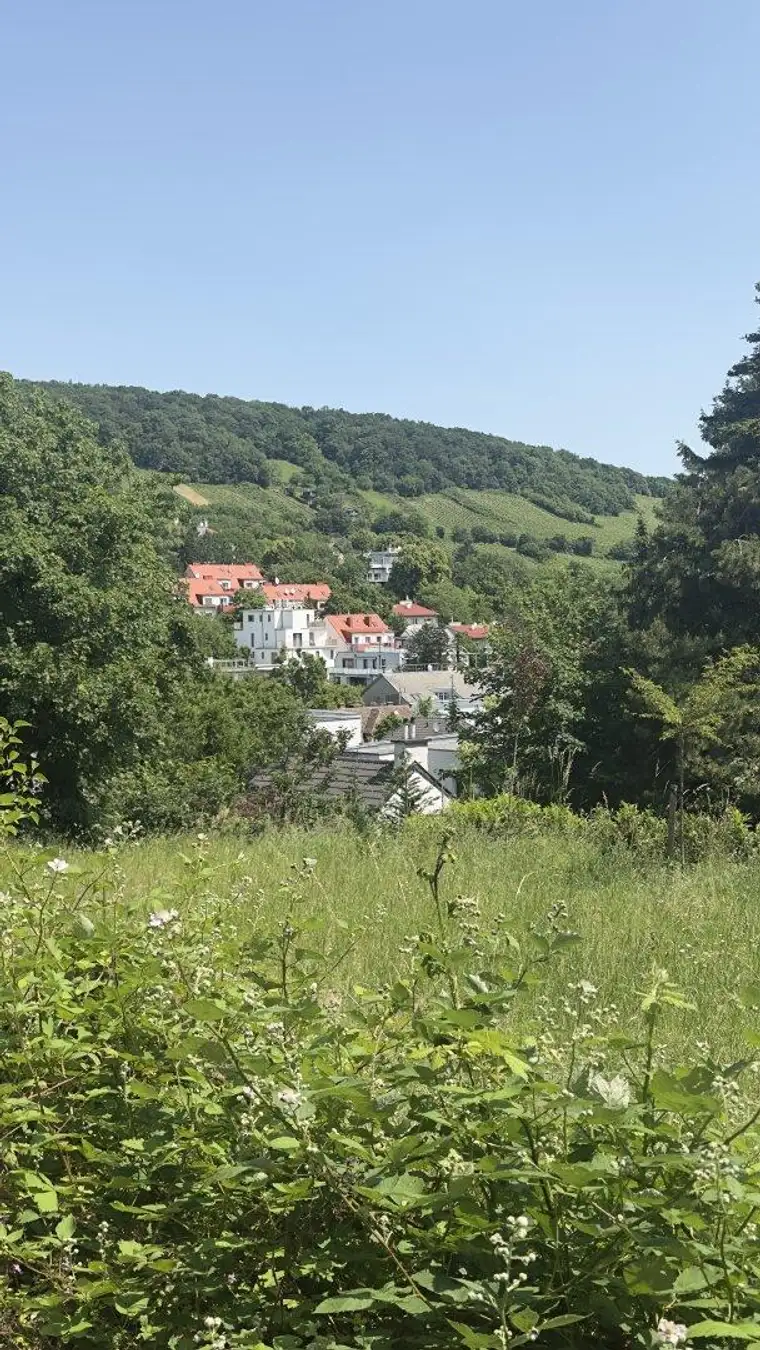 Raffael Kerculj, Valerto GmbH