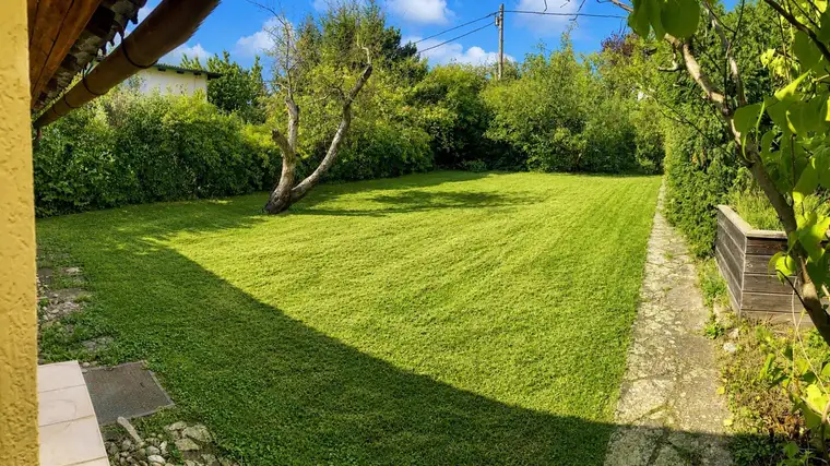 Gelegenheit am Hackenberg!
