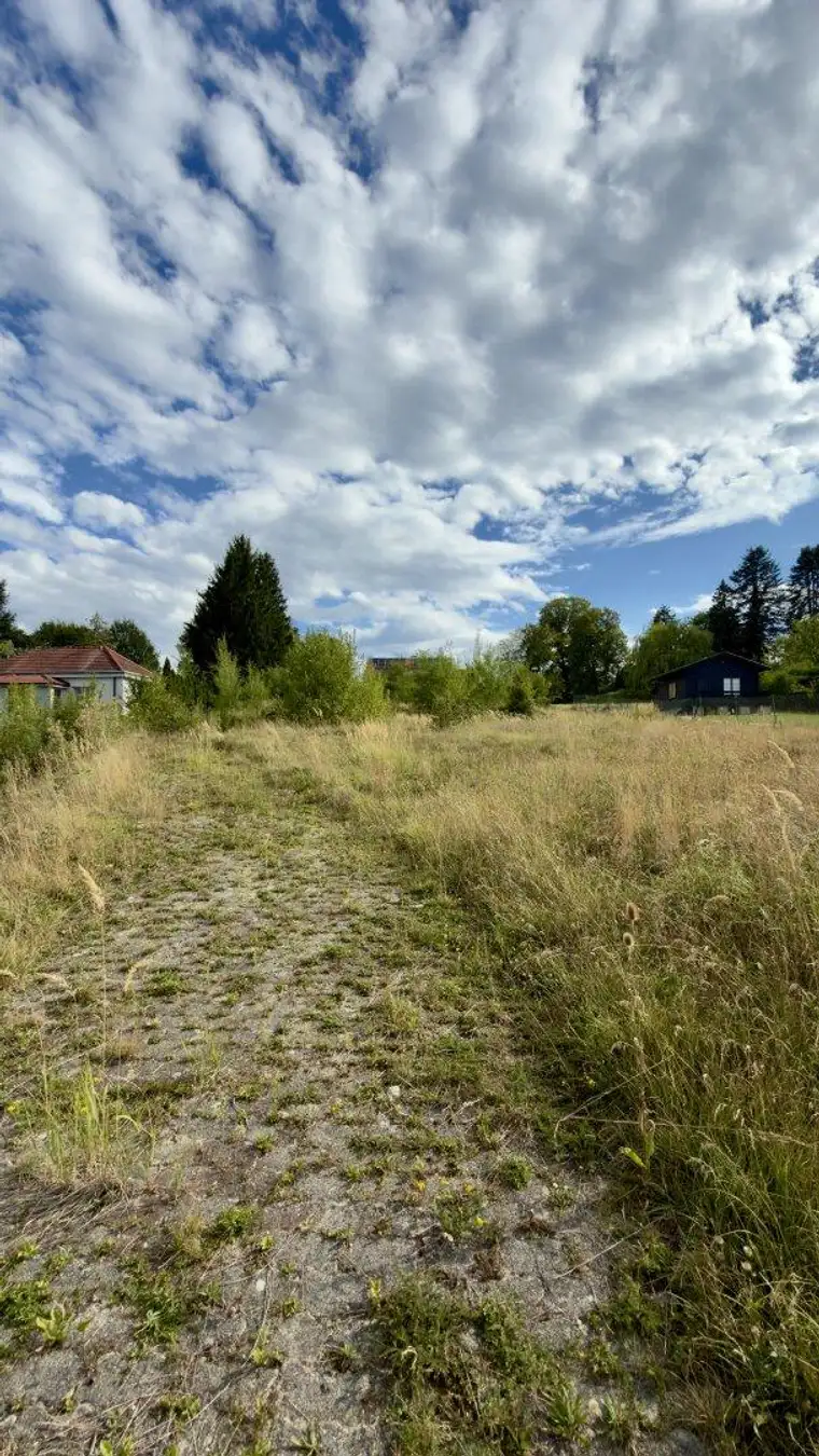 Viel Platz für Ihre Wohnideen – zwei Baugrundstücke in Pressbaum, einzeln oder gemeinsam erhältlich