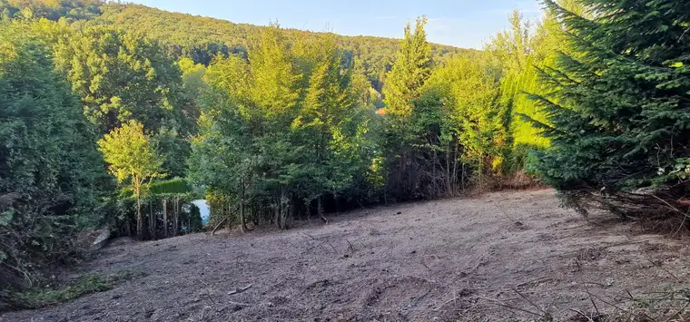 Baugrundstück mit 2 Bauprojekten und herrlichem Blick auf die Berge