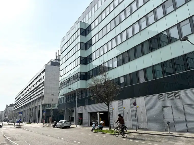 Sophie Riess (vormals Weilguni), Sophie’s Real Estate GmbH