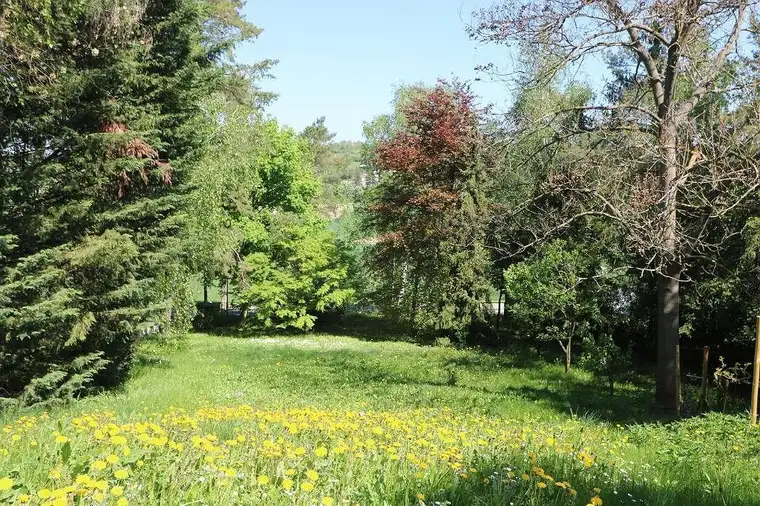 Traum-Baugrund in Hagenbrunner Bestlage am Naturschutzgebiet
