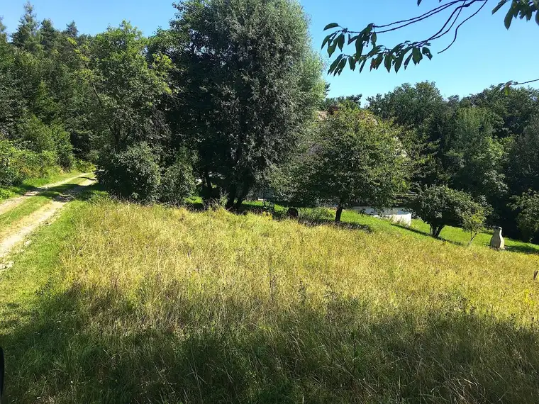 BESONDERHEIT: 2.744 m² Grundstück für Naturliebhaber in absoluter Ruhelage in 8046 Graz-St.Veit!
