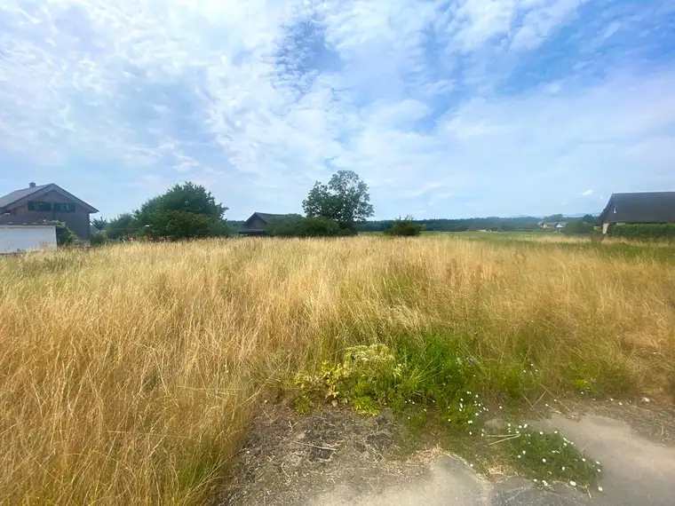 Baugrund in Zettling – ca. 1.420 m² – ideal für zwei Doppelhäuser oder zwei Einfamilienhäuser!