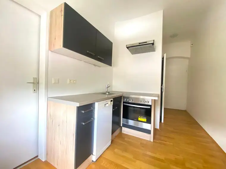 Neu renovierte 30 m² Wohnung in der Wienerstraße 232 zu verkaufen!