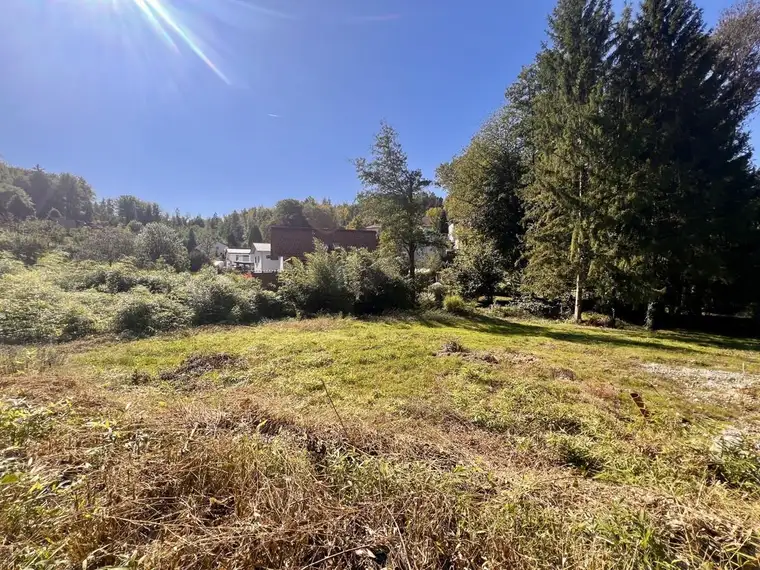 Rarität! Ca. 1.548 m² großes, ruhiges Grundstück - Stadtrandnähe, nur 10 Minuten vom LKH entfernt!