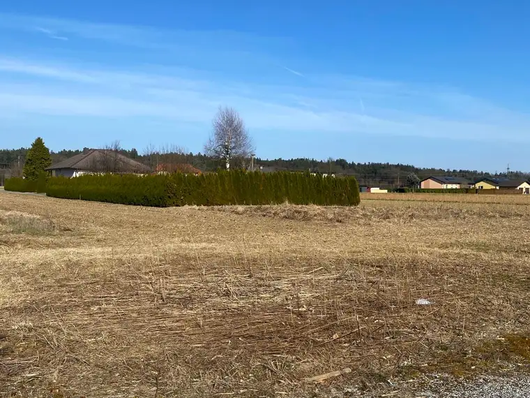 Ebenes Baugrundstück in Zwaring, sonnig und ruhig gelegen!
