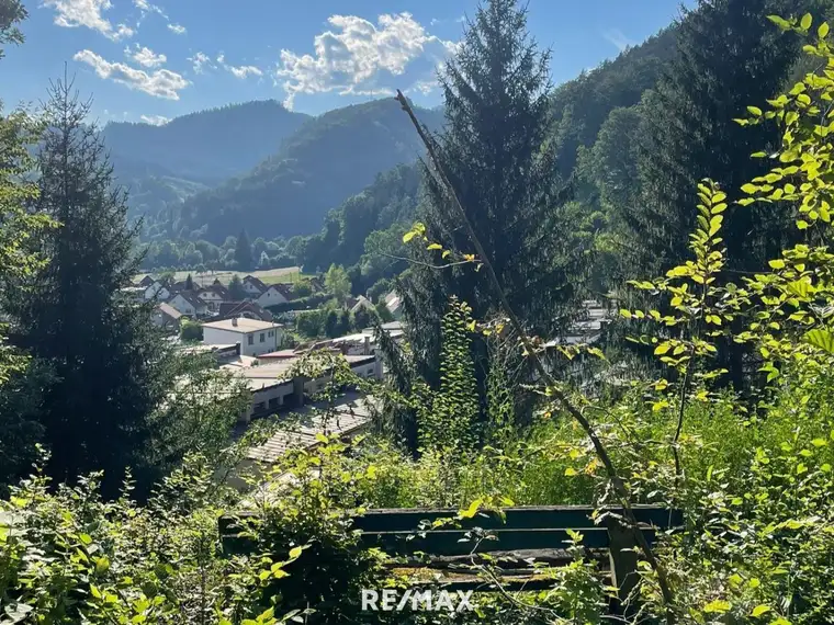 Bau dein Traumhaus mit Weitblick – Sonniger Baugrund am Waldrand