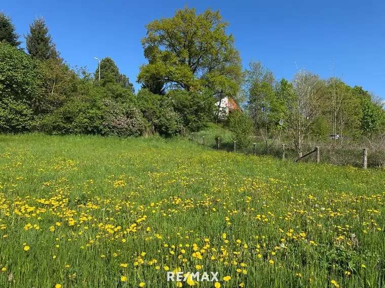 ***3 Baugrundstücke in sonniger Lage – Hafendorf bei Kapfenberg***