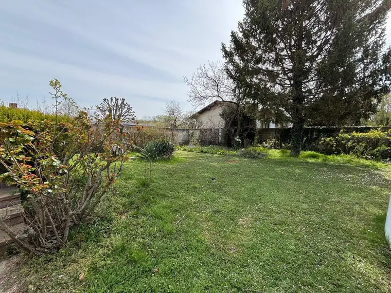 FREISTEHENDES HAUS UMRAHMT VON EINEM SCHÖNEN GARTEN