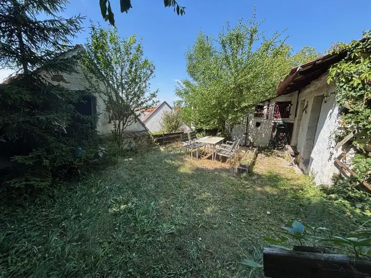 AUF DEM LAND - VIEL SONNE UND GRÜN