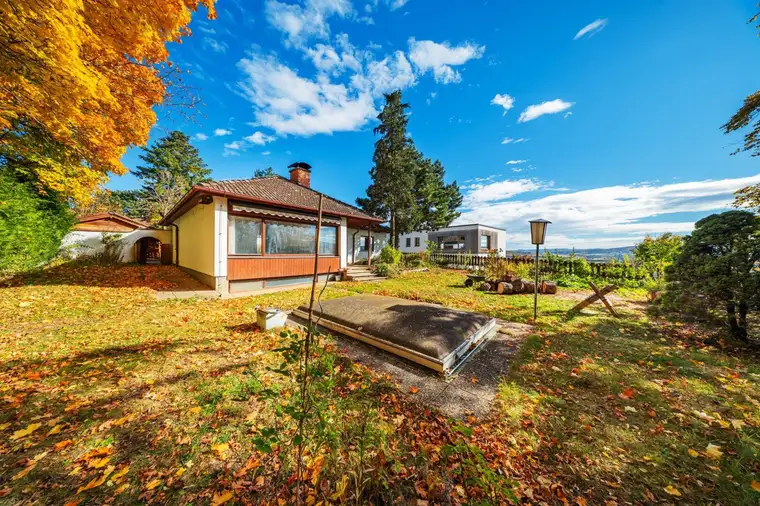 Boris Bueer, WISION HOME GmbH