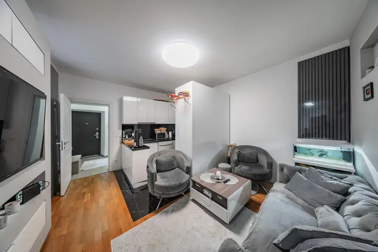 Bence Bueer, WISION HOME GmbH