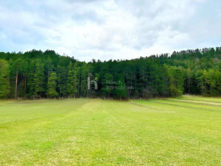 Die Perle des Piestingtales | Hinreißendes Grundstück mit Bergblick