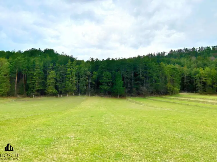 Die Perle des Piestingtales | Hinreißendes Grundstück mit Bergblick