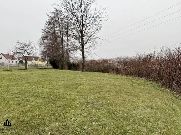 Baugrundstück im Weindorf Donnerskirchen