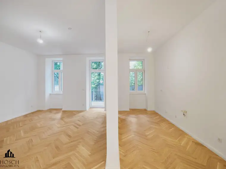 David-Gabriel Hösch, Hösch Immobilien GmbH