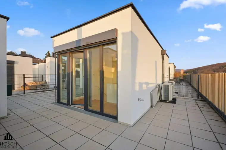 David-Gabriel Hösch, Hösch Immobilien GmbH