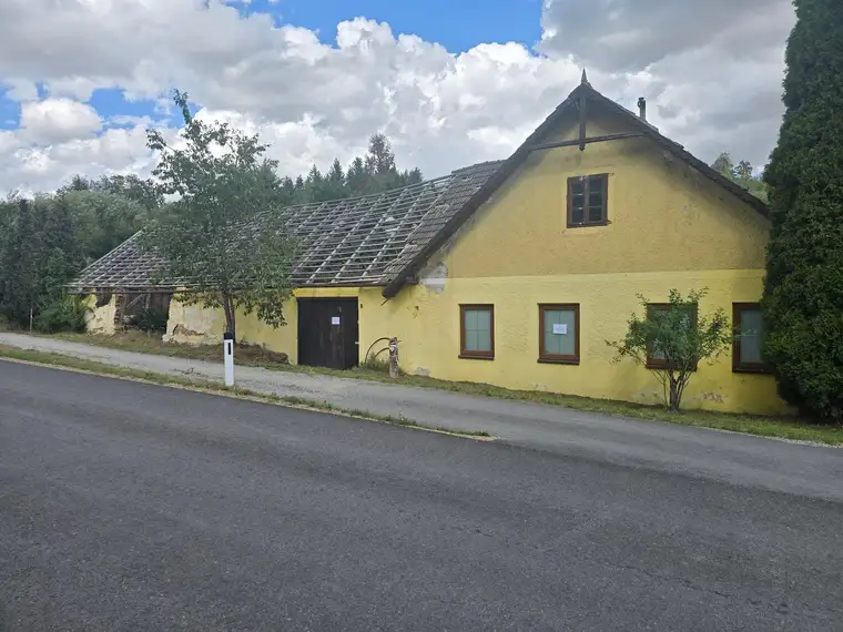Haus mit 3000 m2 Grundstück angrenzender Bach , Kanal, Glasfaserleitung
