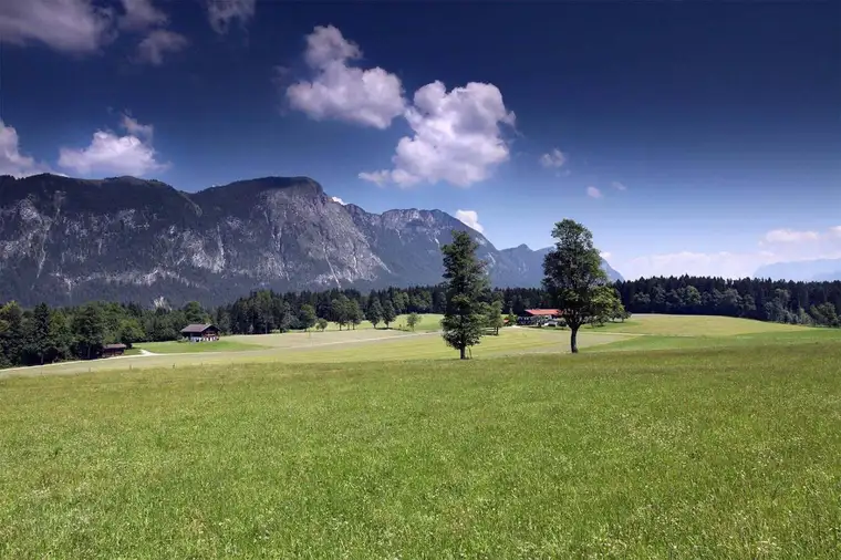 Natur und Wohnqualität in Angath: 170 m² Wohntraum mit Salzwasserpool und Bergpanorama