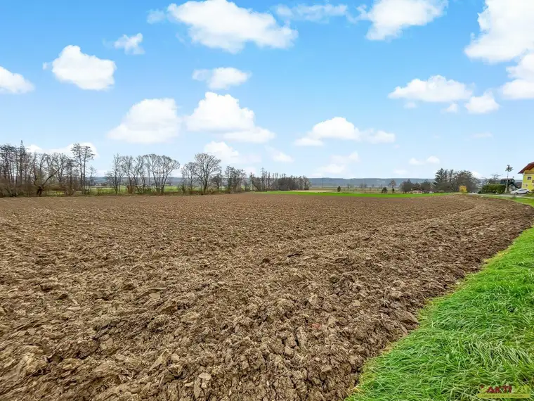 Preis Update! - Großer Wohnbau-Grund in Ruhelage. - 5 Min. vor Jennersdorf. - Naturnähe am Ende einer Sackgasse.