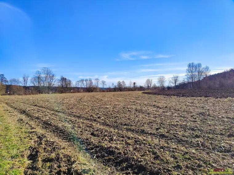 Ebenes Landwirtschaftliches Grundstück bei Söding. - Potential zur Vergrößerung mit + 2,1 ha.