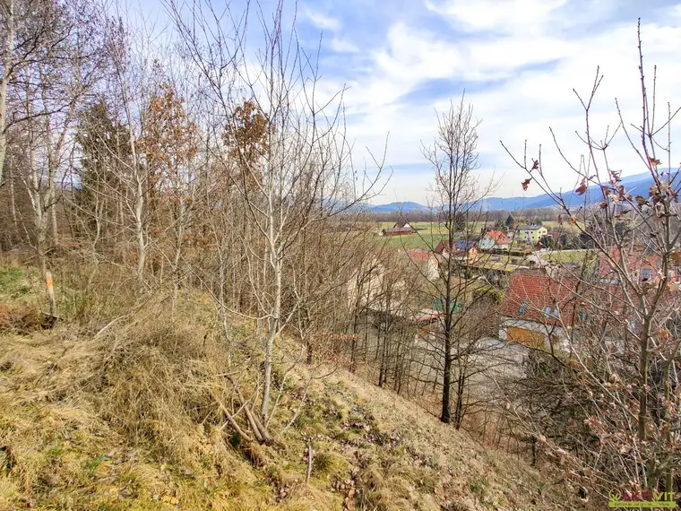 Großzügiges Baugrundstück mit Potenzial. - Teilbar und bis zu 1.450 m² Bruttogeschoßfläche realisierbar.
