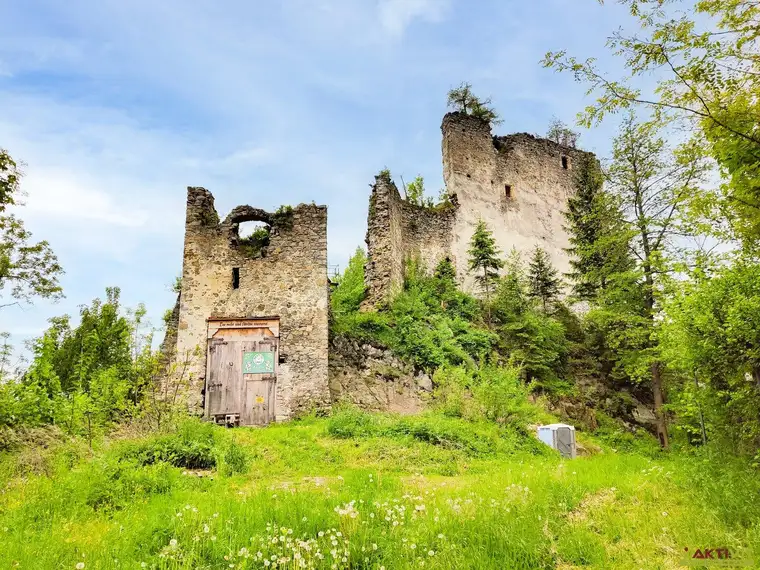 Historische Burgruine mit über 7 Hektar Wald – Einzigartige Liegenschaft mit Potenzial