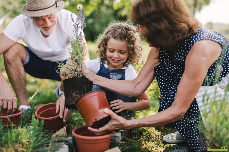 Kleingarten zur Pacht. - Neue Gartenanlage in Planung: Jetzt vormerken lassen!