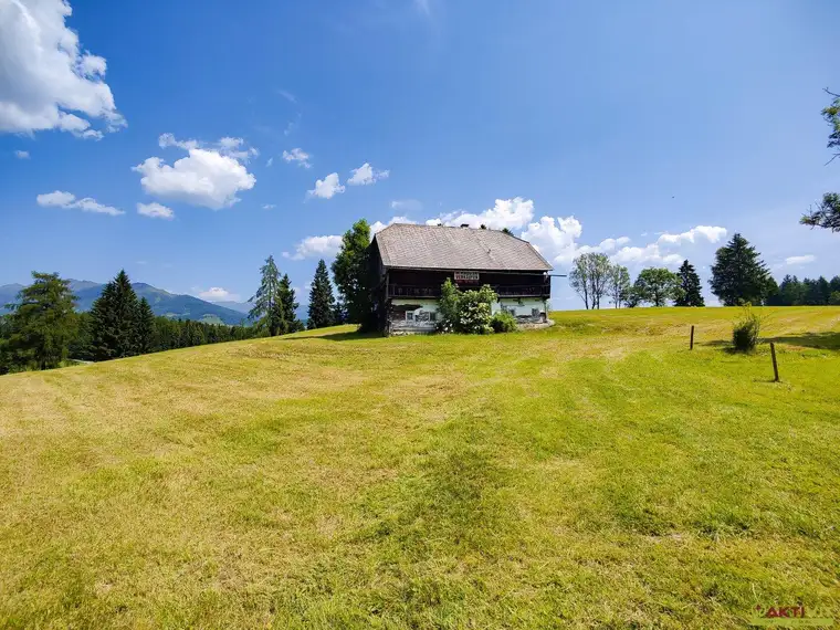 Großes Freiland-Grundstück mit Altbestand in Hochebenenlage bei Kammersberg.